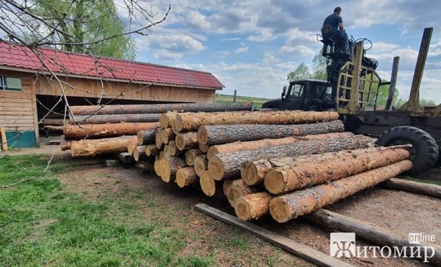 У Житомирській області на території пилорами правоохоронці виявили майже пів сотні колод сосни без маркування. ФОТО У Житомирській області на території пилорами правоохоронці виявили майже пів сотні колод сосни без маркування. ФОТО