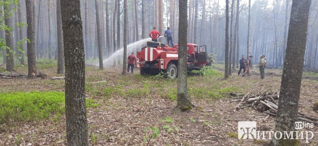 У Житомирському районі більше сотні людей гасили пожежу. ФОТО У Житомирському районі більше сотні людей гасили пожежу. ФОТО