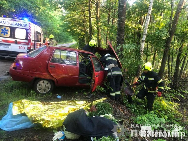 У Коростишівському районі ЗАЗ врізався в дерево: водій травмувався, пасажирка загинула. ФОТО У Коростишівському районі ЗАЗ врізався в дерево: водій травмувався, пасажирка загинула. ФОТО
