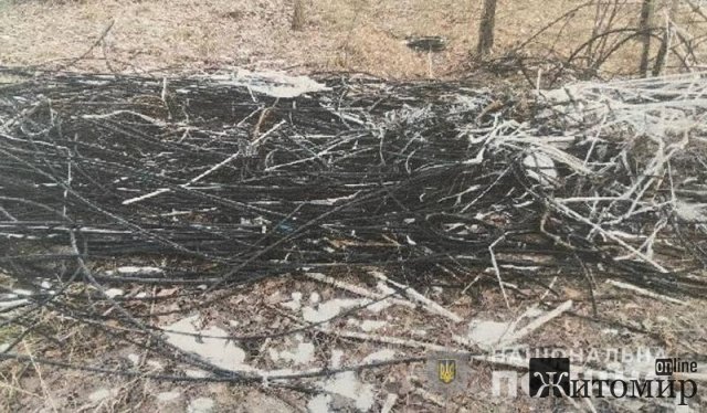 На Житомирщині двоє 16-річних хлопців демонтували кабелі зв На Житомирщині двоє 16-річних хлопців демонтували кабелі зв