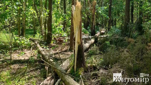 Уламки ракети виявили у лісовому масиві Романівської громади. ФОТО Уламки ракети виявили у лісовому масиві Романівської громади. ФОТО