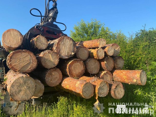 У селі поблизу Житомира поліцейські зупинили ЗІЛ з лісопродукцією, документів на деревину у водія не було. ФОТО У селі поблизу Житомира поліцейські зупинили ЗІЛ з лісопродукцією, документів на деревину у водія не було. ФОТО