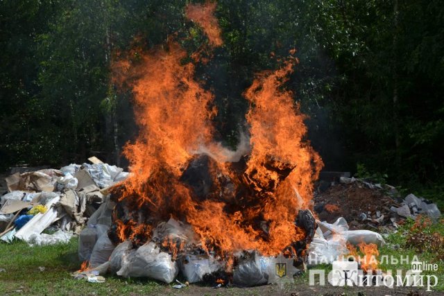 На Житомирщині у вогні згоріли наркотики на півтора мільйона гривень. ФОТО На Житомирщині у вогні згоріли наркотики на півтора мільйона гривень. ФОТО