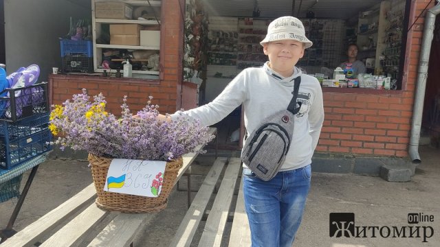 У Коростишеві 11-річний школяр продає букети лаванди, збираючи гроші для військових. ФОТО У Коростишеві 11-річний школяр продає букети лаванди, збираючи гроші для військових. ФОТО