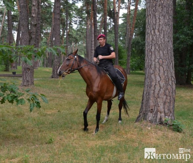 У житомирському гідропарку у вихідні патрулюють кавалеристи поліції. ФОТО У житомирському гідропарку у вихідні патрулюють кавалеристи поліції. ФОТО