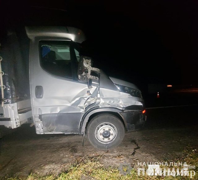 На трасі в Житомирські області вантажівка наїхала на гужу повозку, керманич воза загинув. ФОТО На трасі в Житомирські області вантажівка наїхала на гужу повозку, керманич воза загинув. ФОТО