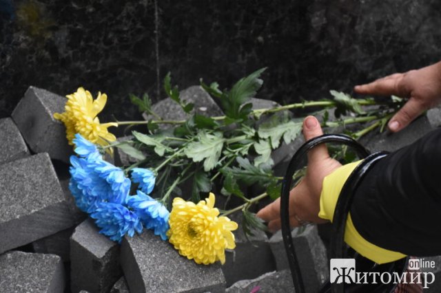 День Гідності та Свободи в Житомирі. ФОТО День Гідності та Свободи в Житомирі. ФОТО