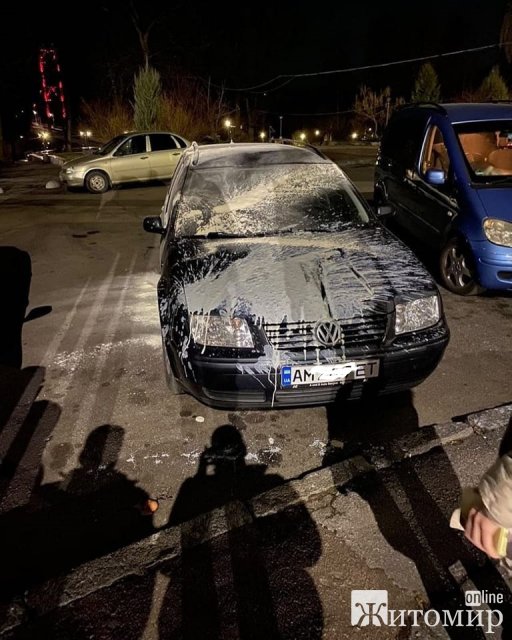 У житомирському парку неправильно припаркований автомобіль облили фарбою. ФОТО У житомирському парку неправильно припаркований автомобіль облили фарбою. ФОТО