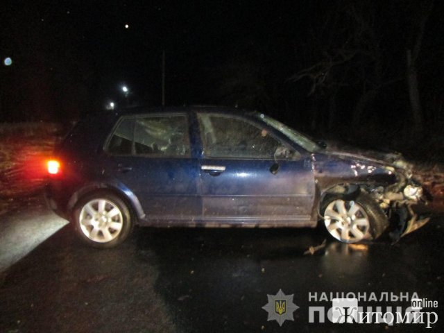 У селі Бердичівського району Volkswagen зіштовхнувся з гужою повозкою, троє потерпілих. ФОТО У селі Бердичівського району Volkswagen зіштовхнувся з гужою повозкою, троє потерпілих. ФОТО