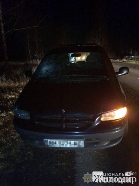 На дорозі в Житомирській області Dodge на смерть збив жінку, що вела велосипед. ФОТО На дорозі в Житомирській області Dodge на смерть збив жінку, що вела велосипед. ФОТО