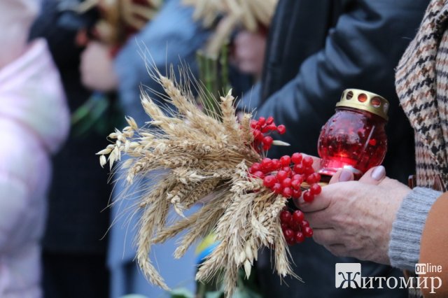 У Житомирі вшановують пам