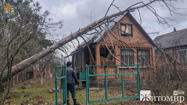 На дачному масиві неподалік Житомира дві сосни впали на житловий будинок. ФОТО На дачному масиві неподалік Житомира дві сосни впали на житловий будинок. ФОТО