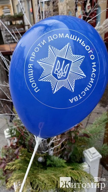На Михайлівській в Житомирі ходить "білий ведмідь" та стоїть поліція. ФОТО