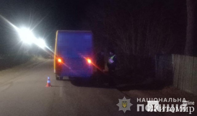 Неподалік Житомира мікроавтобус збив пішохода: від отриманих травм жінка померла на місці події. ФОТО Неподалік Житомира мікроавтобус збив пішохода: від отриманих травм жінка померла на місці події. ФОТО
