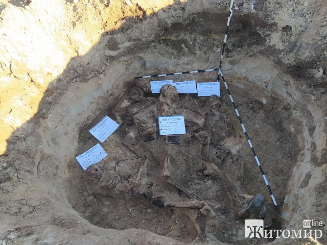 У Новоград-Волинському районі пошуківці виявили санітарне поховання 6 воїнів Червоної армії. ФОТО У Новоград-Волинському районі пошуківці виявили санітарне поховання 6 воїнів Червоної армії. ФОТО