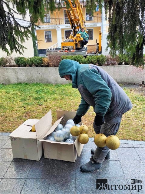 На Михайлівській у Житомирі почали прикрашати головне новорічне дерево. ФОТО