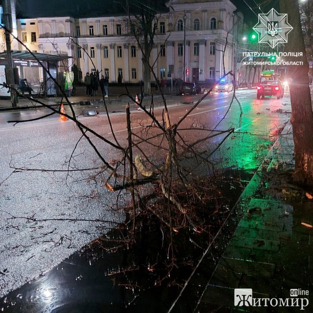 Біля міськради в Житомирі Subaru врізалась в дерево. ФОТО