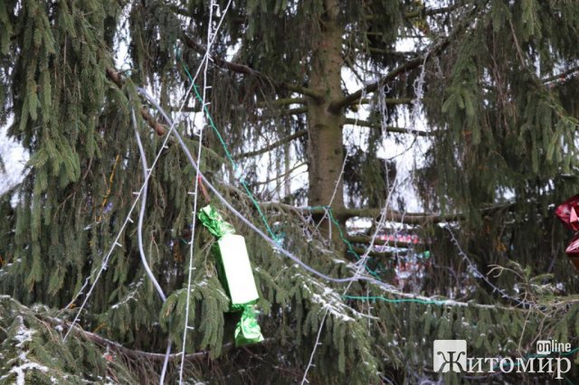 В Олевську біля новорічної ялинки пошкоджений паркан, обірвані гірлянди та зірвані іграшки. ФОТО В Олевську біля новорічної ялинки пошкоджений паркан, обірвані гірлянди та зірвані іграшки. ФОТО