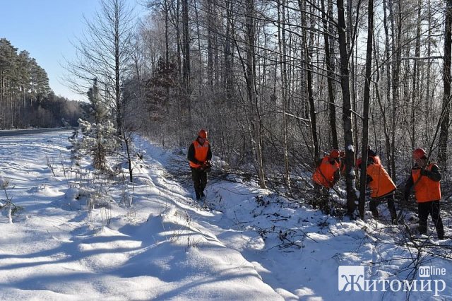 Лісівники прибирають ліси вздовж доріг Житомирщини. ФОТО Лісівники прибирають ліси вздовж доріг Житомирщини. ФОТО