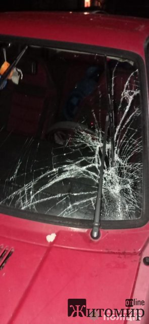 У селі Житомирської області Volkswagen збив велосипедиста, 54-річного чоловіка госпіталізували. ФОТО У селі Житомирської області Volkswagen збив велосипедиста, 54-річного чоловіка госпіталізували. ФОТО