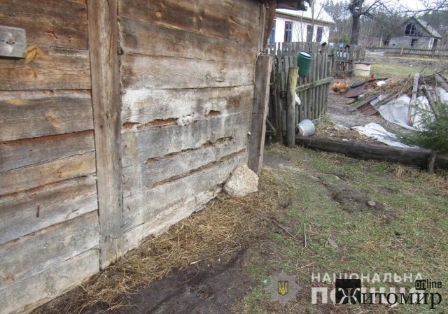 У Києві поліцейські розшукали молодика, який в селі Новоград-Волинського району "почепив" дядька на мотузку. ФОТО У Києві поліцейські розшукали молодика, який в селі Новоград-Волинського району "почепив" дядька на мотузку. ФОТО