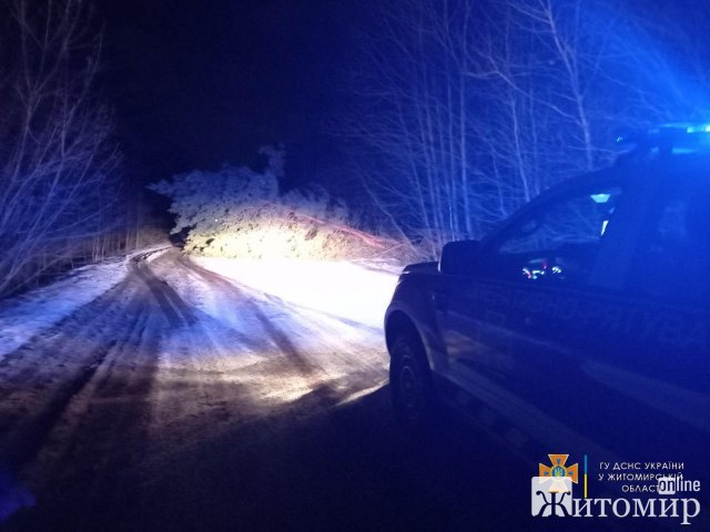 В одному з районів Житомирщини негода повалила 30 дерев. ФОТО В одному з районів Житомирщини негода повалила 30 дерев. ФОТО