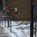 На Сльоти в Житомирі правоохоронці затримала чоловіка, що пошкодив паркан. ФОТО На Сльоти в Житомирі правоохоронці затримала чоловіка, що пошкодив паркан. ФОТО