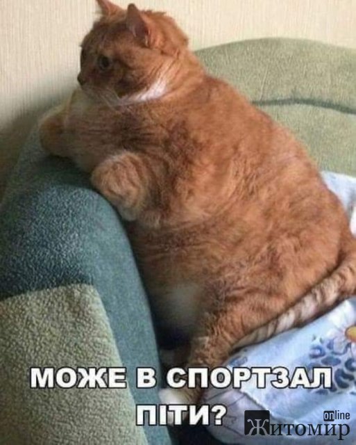 ПОСМІХНІТЬСЯ!