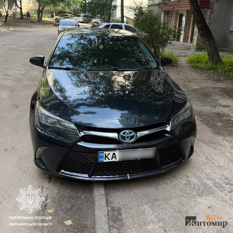 У Житомирі розшукали водія, який автівкою переїхав собаку - Події. Джерело: Zhitomir-OnLine У Житомирі розшукали водія, який автівкою переїхав собаку - фото №