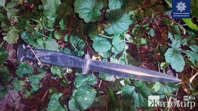 На Пушкінській в Житомирі патрульні затримали хулігана з ножем. ФОТО