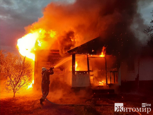 У селі на Житомирщині рятувальники гасили пожежу в дерев