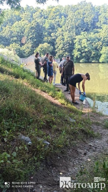 Біля Житомира екологи і рибоохорона продовжують рахувати загиблу в Тетереві рибу. ФОТО