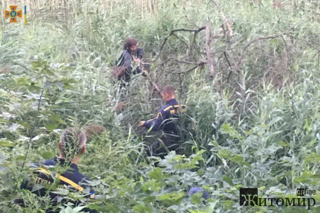 Малинські рятувальники витягнули з болота чоловіка, який там застряг та самостійно не зміг вибратись Малинські рятувальники витягнули з болота чоловіка, який там застряг та самостійно не зміг вибратись