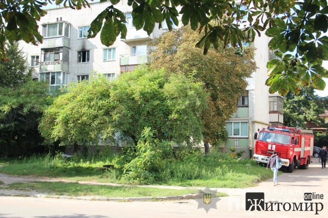Житомирська поліція встановлює обставини подвійного вбивства на вулиці Степана Бандери. ФОТО
