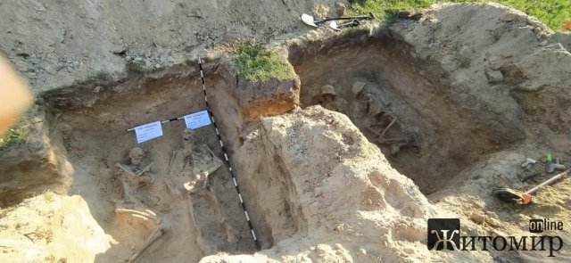Житомирські пошуківці поїхали за легендою, а знайшли рештки 12 солдат Вермахту. ФОТО