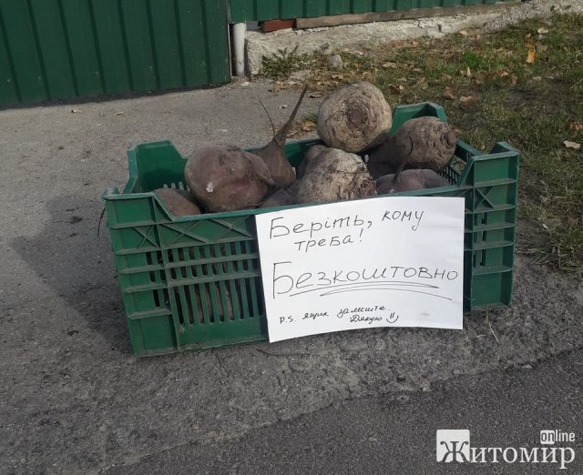 У Житомирі безкоштовно "роздавали" буряки. ФОТО У Житомирі безкоштовно "роздавали" буряки. ФОТО