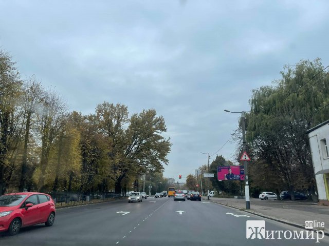 На Грушевського у Житомирі з