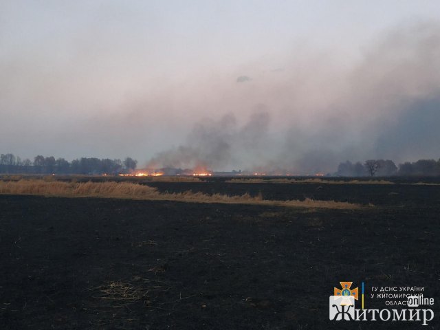 За добу в Житомирській області горів сухостій на загальній площі 57 га. ФОТО