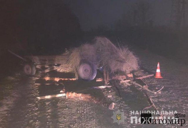У селищі Баранівського району Opel врізався у гужову повозку: подружжя пенсіонерів забрали до лікарні. ФОТО У селищі Баранівського району Opel врізався у гужову повозку: подружжя пенсіонерів забрали до лікарні. ФОТО