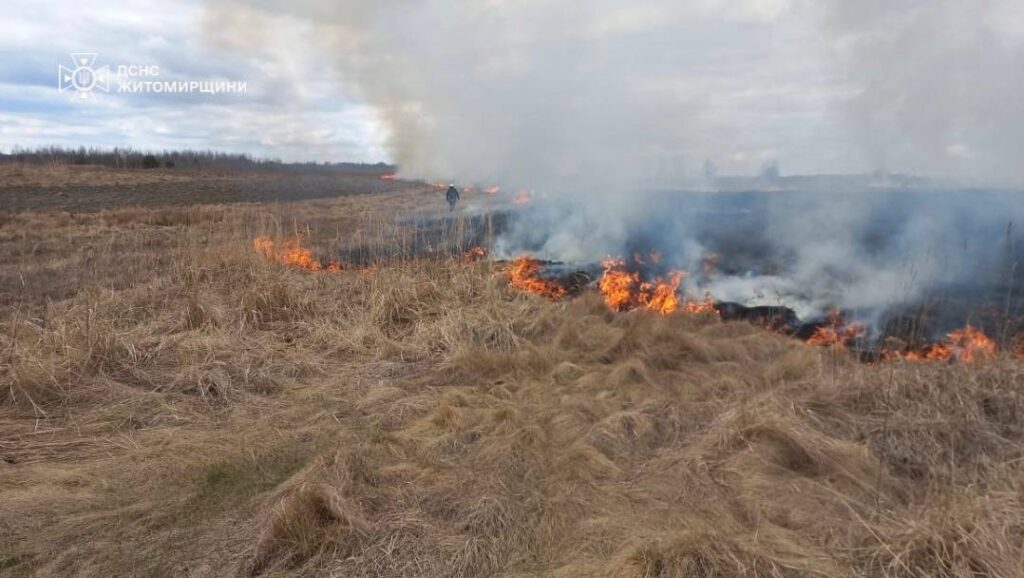 У селі Красногірка Андрушківської громади пожежа впритул підійшла до житлових будинків - фото №