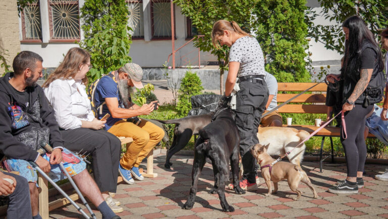 У Житомирі хвостаті терапевти допомагають відновленню військових - Інформація. Джерело: Zhitomir-OnLine У Житомирі хвостаті терапевти допомагають відновленню військових - фото №2