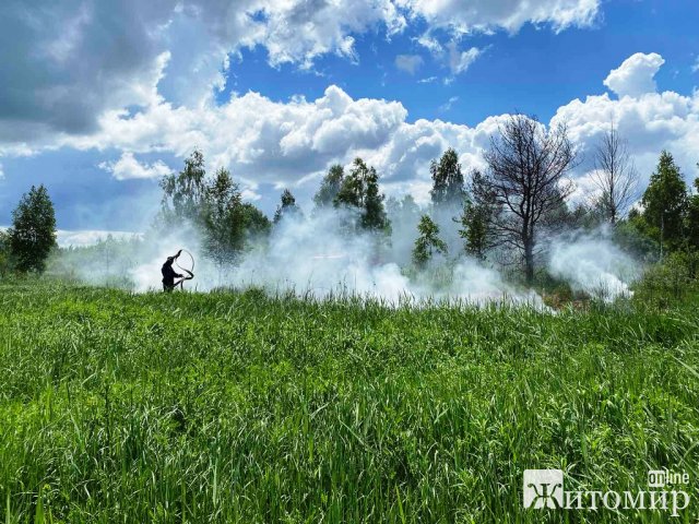 На півночі Житомирщини горів торф. ФОТО На півночі Житомирщини горів торф. ФОТО