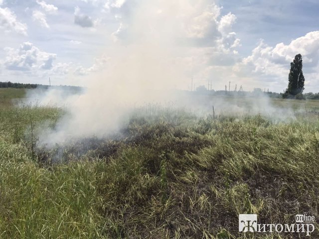 На околиці села в Житомирському районі рятувальники гасили займання трави. ФОТО