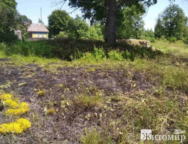 На Житомирщині за добу горіла суха трава та господарча будівля. ФОТО На Житомирщині за добу горіла суха трава та господарча будівля. ФОТО