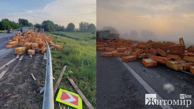 На Рівненщині перекинулась вантажівка з птицею, частина курей загинула: за кермом був водій з Житомирщини. ФОТО На Рівненщині перекинулась вантажівка з птицею, частина курей загинула: за кермом був водій з Житомирщини. ФОТО