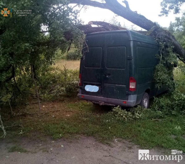 На Житомирщині одне дерево впало на машину, інше - перекрило дорогу. ФОТО На Житомирщині одне дерево впало на машину, інше - перекрило дорогу. ФОТО
