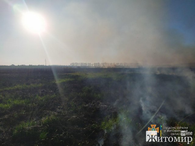 У Житомирському районі рятувальники виїжджали гасити займання сухої трави. ФОТО У Житомирському районі рятувальники виїжджали гасити займання сухої трави. ФОТО