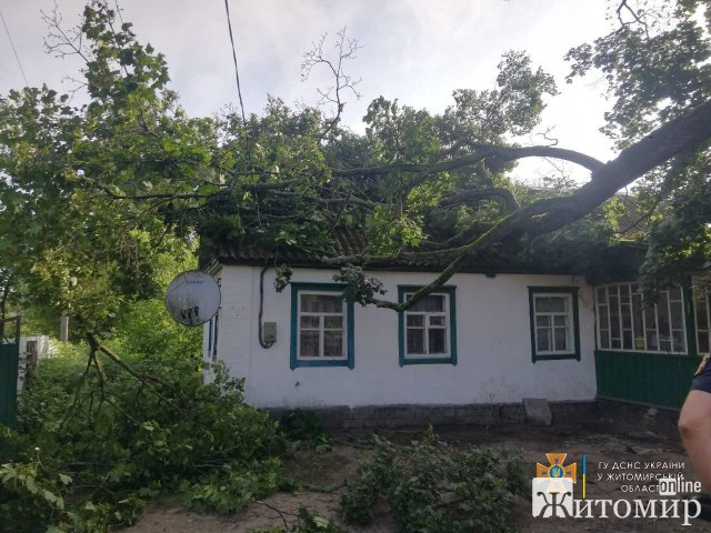 На Житомирщині рятувальники прибирали повалені дерева. ФОТО На Житомирщині рятувальники прибирали повалені дерева. ФОТО