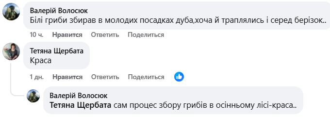 Білі гриби з лісу поблизу Високої Печі на Житомирщині. ФОТО - Події. Джерело: Zhitomir-OnLine Білі гриби з лісу поблизу Високої Печі на Житомирщині. ФОТО - фото №7