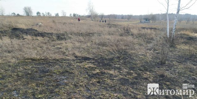 У Коростені та селі Народицького району рятувальники гасили займання сухостою. ФОТО У Коростені та селі Народицького району рятувальники гасили займання сухостою. ФОТО
